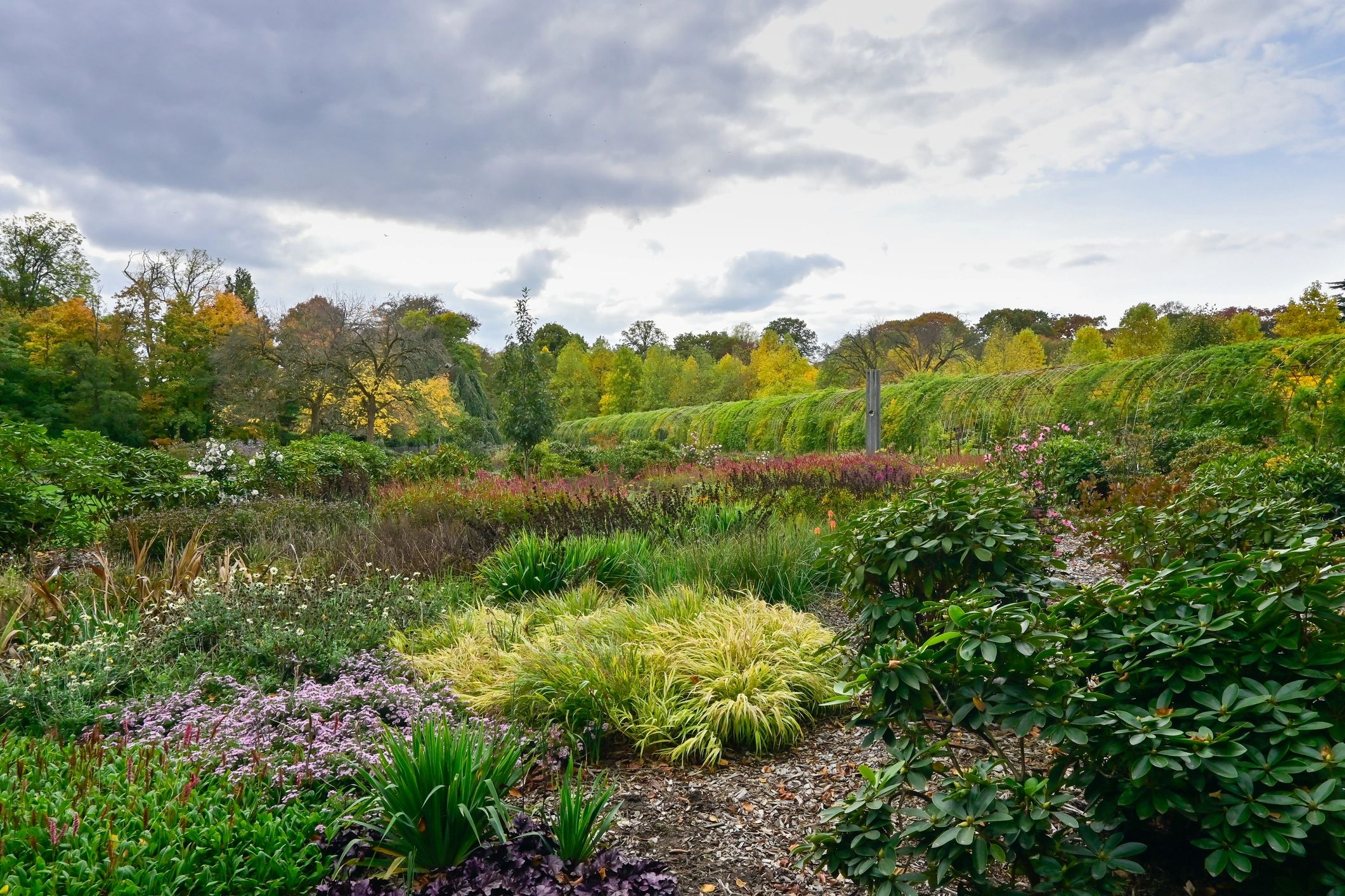 Flower garden and trees